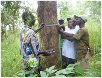 Villagers in Ruhoma village in Lindi getting practical knowledge of assessing carbon